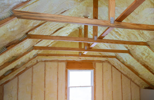 Best Home Insulation Services  in Wardsville, MO