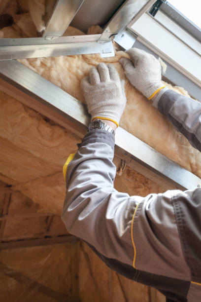 Insulation Contractors for Homes in Wardsville, MO