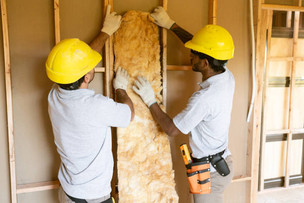 Best Commercial Insulation Contractor  in Wardsville, MO