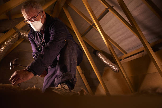 Best Wall Insulation Contractor  in Wardsville, MO