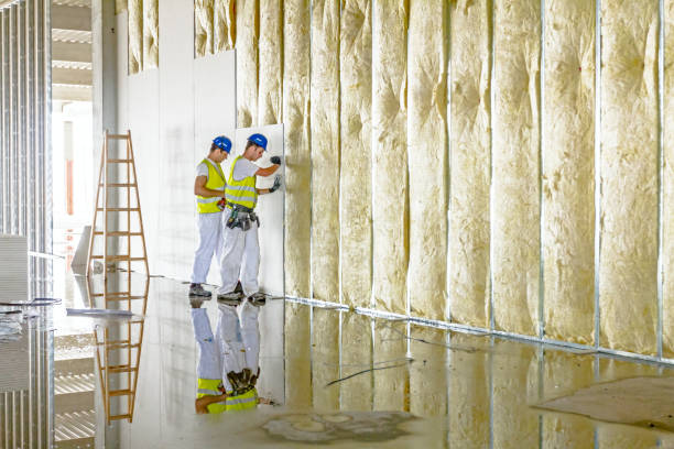 Insulation Inspection Services in Wardsville, MO